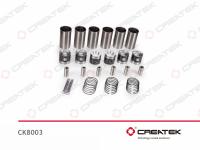 CK8003__1.jpg