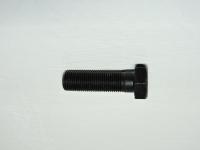 190003803809Q_Болт балансира M16х55 qin_1.JPG. — копия