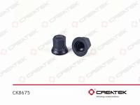 CK8675__1.jpg