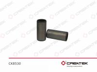 CK8530__1.jpg