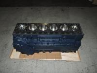 61560010095B-SHORT_Блок цилиндров в сборе с коленвалом и поршнями_1.JPG.