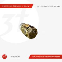 1110010015_Клапан ограничения давления топливной рампы_1