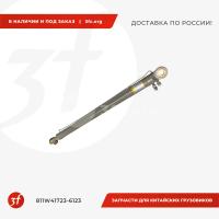 811W41723-6123_Цилиндр подъёма кабины HOWO T5G_1.jpg