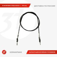DZ9100575003.jpg