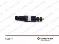 CK8819_1.jpg
